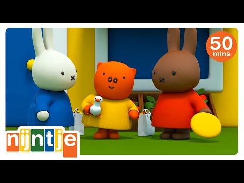 nijntje en de onweersbui | nijntje | het beste van nijntje