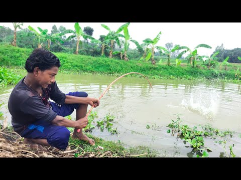 Amazing hook Fishing Video | Traditional Boy Catching Fish By Hook in pond Water #fishing