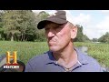 Alligator Capture and Strategy