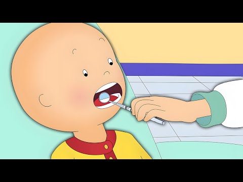 Caillou visita al Dentista | Caillou en Español - WildBrain