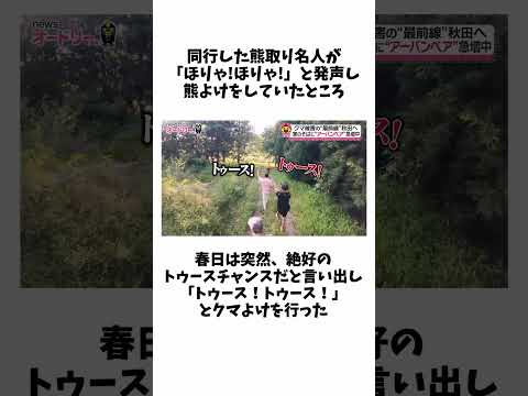 【オードリー】報道番組で活躍するオードリー