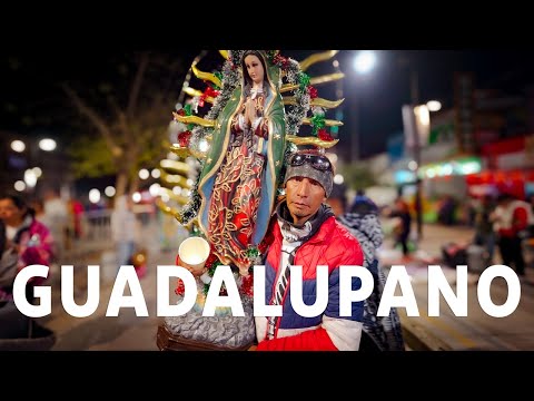 Rituales de la fe: Peregrinos y héroes anónimos en el Tepeyac, Virgen de Guadalupe