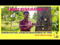 Tree Measurement Techniques and Standards