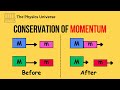 Collision Principles and Momentum