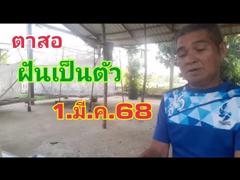 ตาสอฝันเป็นตัว1.มี.ค.68