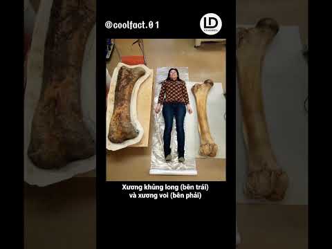 những bức ảnh thú vị có thể bạn chưa từng thấy #foryou #fyp #tintuc #xuhuongyoutube #viral