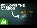 Understanding the Ocean's Carbon Cycle