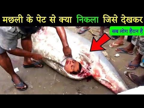 मछली के पेट से निकला जिंदा बच्चा जिसे देखकर पूरा गांव हैरान रह गया | अल्लाहु अकबर