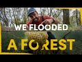 Flooded Forest and Wetland Ecology