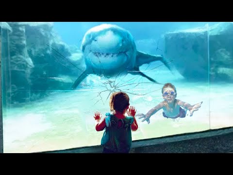 her brother got stuck in shark tank..