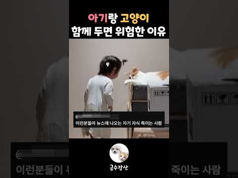 아기랑 고양이 같이 두면 안되는 이유😭