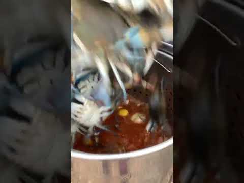 Louisiana blue crabs!!! Swamp People!!!