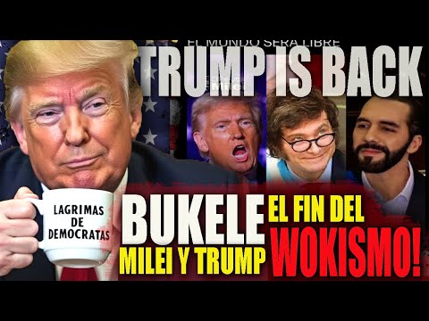 TRUMP Arrasa en las Elecciones🇺🇸😎 BUKELE Y MILEI lo Apoyan mientras la prensa PROGRE llora😭