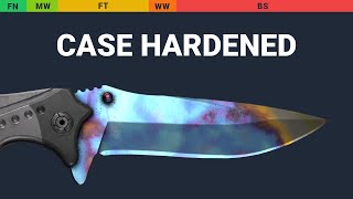 Nomad Knife Case Hardened Wear Preview