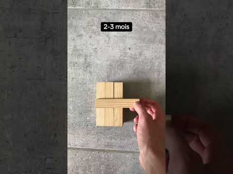 Catapulte Kapla
