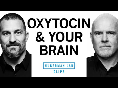 How Oxytocin Affects Attraction, Love & Social Behavior | Dr. Michael Platt & Dr. Andrew Huberman