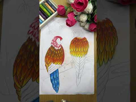 Parrot Bird drawing on Live 📌🦜