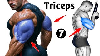 7 Best Exercises to Grow Your Triceps Fast at the Gym