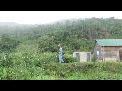 Braving the Storm: Clearing an Abandoned House in Heavy Rain - Rescue the Rabbit on the Grass Farm