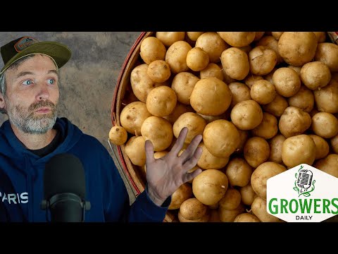 A New Way to Grow Potatoes + A Way NOT to Grow Potatoes