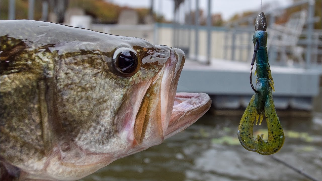 Fall Bass Fishing Using Crawfish Baits