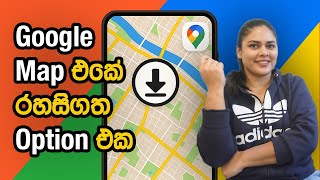 How to Use Google Offline Maps | Step-by-Step Guide