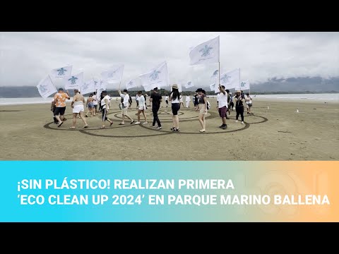 ¡Sin plástico! Realizan primera ‘Eco Clean Up 2024’ en Parque Marino Ballena