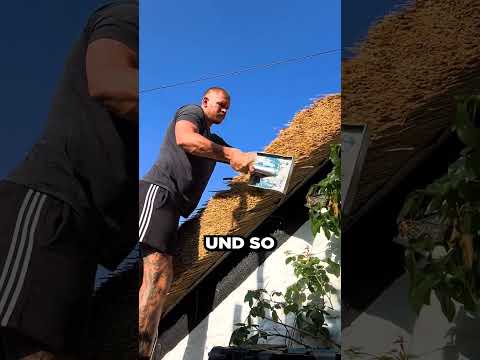 Millionen-Villa mit Strohdach? 🤯