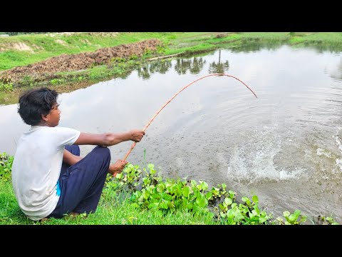 Fishing Video🐠 || The joy of fishing in forest canals is different || Amazing hook fishing