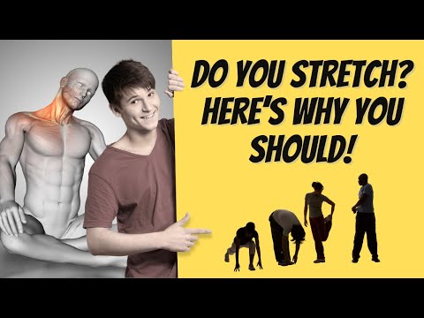 The Benefits of Stretching : When, How, and Why to Include It in a Daily Routine