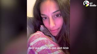 Mujer rescata a un pequeño gorrión bebé más pequeño que el estuche de los AirPods | El Dodo