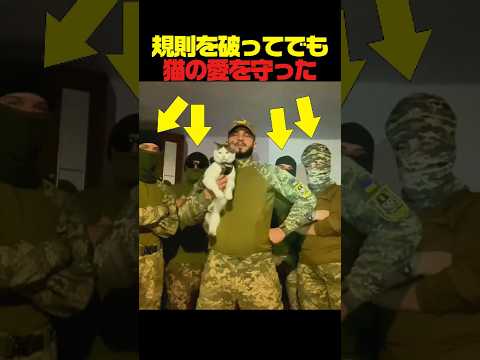 規則を破ってでも猫の愛を守った