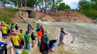 Real Life 100% Cast Net And Net Fishing In River At The Countryside (Part 15) #amazingfishinglife