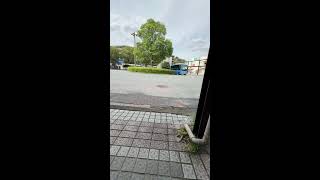 Viviendo en Japón (Japón)