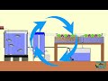 Aquaponics System Functionality and Components