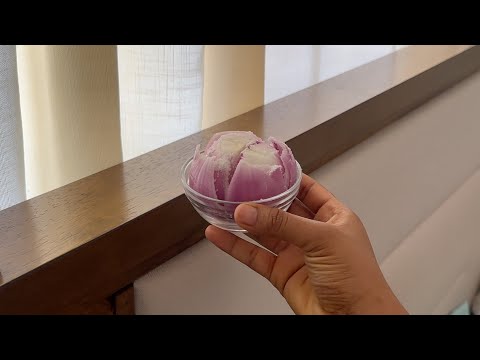 Put an Onion in Your Room and See What Happens Overnight!
