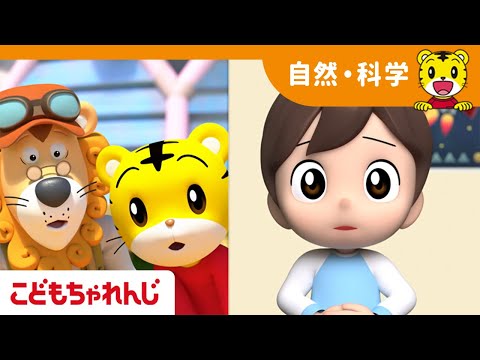 たべたものは どこに いくの？│ 4・5歳向け 〈すてっぷ〉│冬のたいけん映像【しまじろう公式チャンネル】