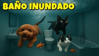 ¡INTENTÉ BAÑAR A MIS GATOS Y PERROS JUNTOS… Y TERMINÓ EN DESASTRE! 😱🐾 | Luna y Estrella