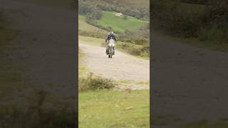 ￼￼￼ Top 5 Motos Trail Chinas de 2025‼️‼️‼️ #cfmoto800mt  #zontes703f #qjmotor #kovemoto #vogemoto