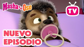 🥰 Mi cuchi-cuchi 🦔 NUEVO EPISODIO 🐻👧 Masha y el Oso Castellano