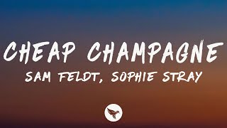 Sam Feldt - Cheap Champagne (Lyrics) feat. Sophie Stray