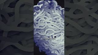 Este Es El PROBLEMA Con Estos Bioquímicos