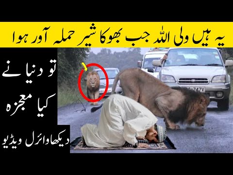 Wali Allah Aur Shair Ki Sawari II Allah K Wali Ka Sacha Qissa