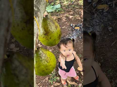 Survival Skills: SMART idea Baby and Useful with Avocado #bushcraft #camping #outdoors #survival
