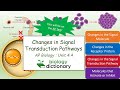 Signal Transduction Pathway Concepts
