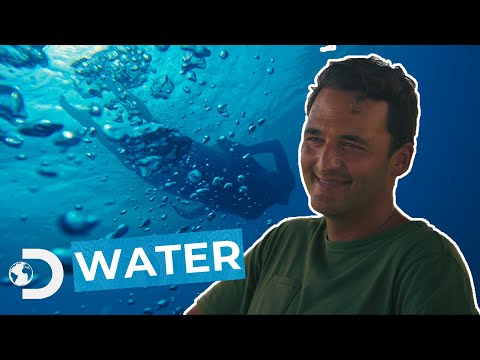 YouTube video thumbnail: Chapter 1 Blue Lizard Effect – Water