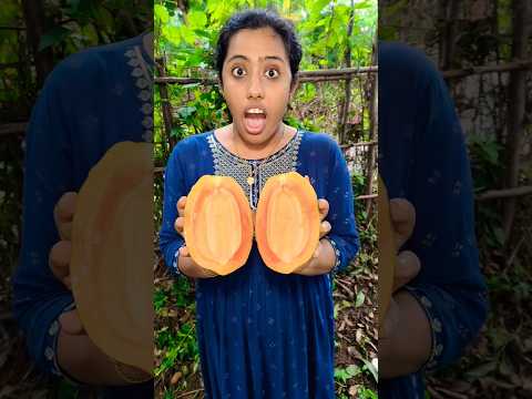 Tom ๐ Jerry (Rithvi&Family) Real End Twist ๐๐ #shorts#pappaya