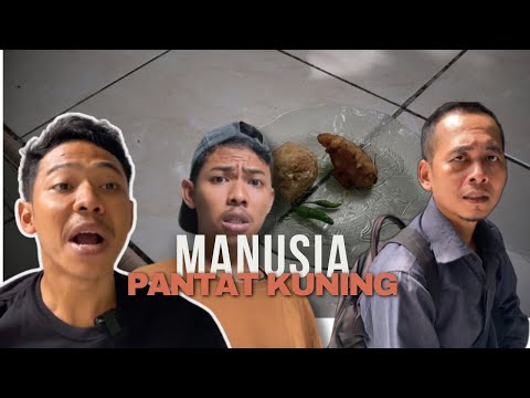 Manusia pantat kuning.