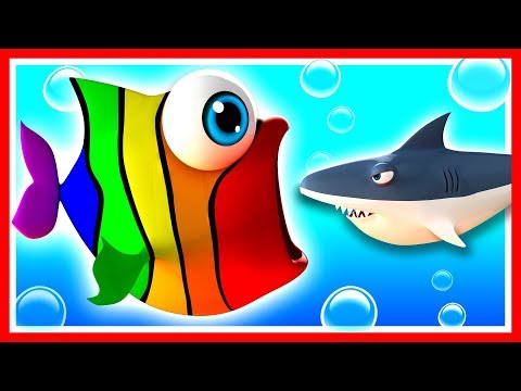 Join Rainbow fish and learn colors as he meets a jellyfish, baby shark, and rides a magic slide.