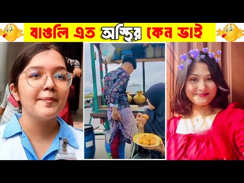 অস্থির বাঙালি 😂 বাঙালি মানেই কাপঝাপ | Ostir Bangali😂New Bangla Funny Video😂 #TodonthoPediaBD